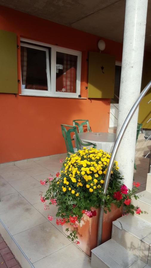 Appartement ' Le Lupulus'