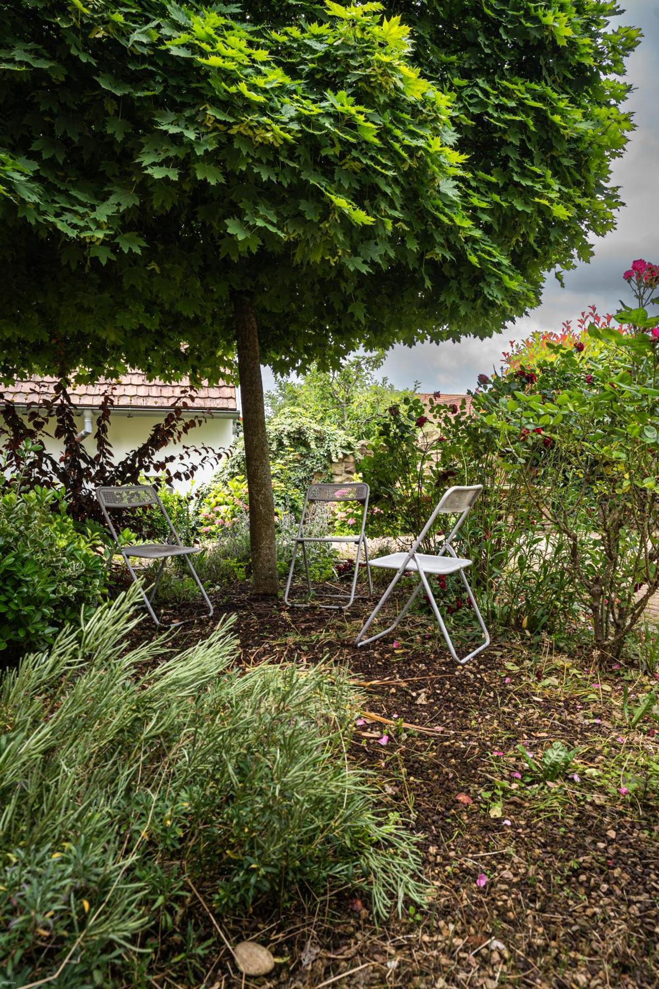 Appartement ' Le Lupulus' *