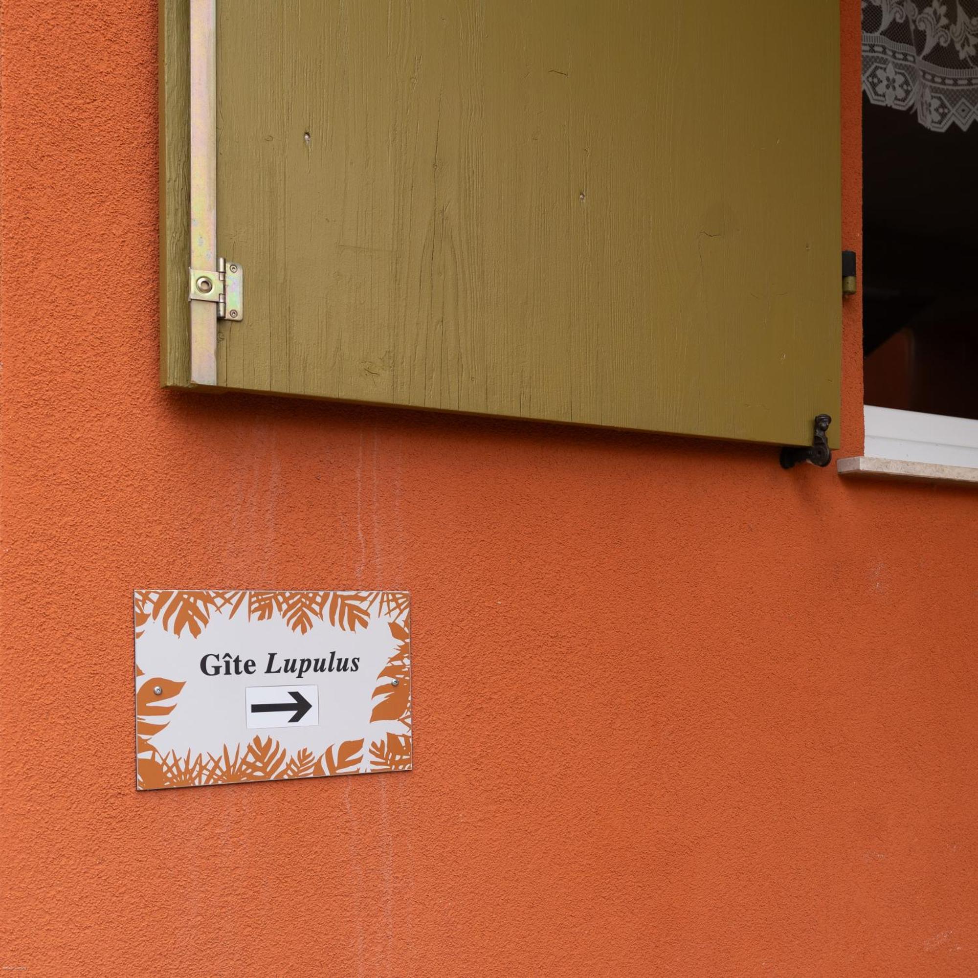 Appartement ' Le Lupulus' Bilwisheim